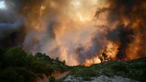 ŠIBICOM ZAPALIO ŽBUN, GORELA SELA: Užas kod Vranja