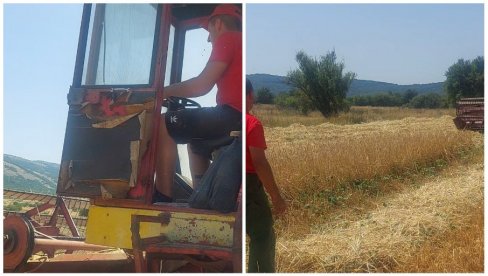 ЖЕТЕОЦИ НА СТАРОЈ ПЛАНИНИ: Породица Иванов пожњела је зрна са скоро 15 хектара земље (ВИДЕО) ЖЕТЕОЦИ НА СТАРОЈ ПЛАНИНИ: Породица Иванов пожњела је зрна са скоро 15 хектара земље (ВИДЕО)