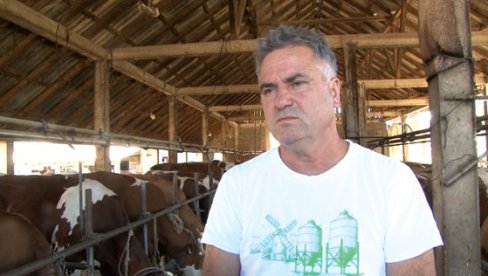 КРИЗА ВИШЕ НЕ РАСИПА МЛЕКО: Стимулативне мере државе дају резултате у домаћем млекарству КРИЗА ВИШЕ НЕ РАСИПА МЛЕКО: Стимулативне мере државе дају резултате у домаћем млекарству