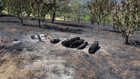 КУЋЕ САЧУВАНЕ ОД ВАТРЕ: Пожар у два села Јабланичког округа КУЋЕ САЧУВАНЕ ОД ВАТРЕ: Пожар у два села Јабланичког округа