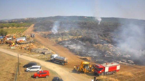 ОДБРАЊЕНО ЈЕ ДЕСЕТАК КУЋА: Локализован пожар у Костолу код Кладова - Огласио се МУП Србије (ФОТО)
