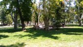 РАСПОРИО ДЕЧАКУ СТОМАК, ПА СЕ БРАНИ СА СЛОБОДЕ: Више тужилаштво у Панчеву тражи притвор за нападача у парку