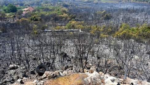 10 МАСКИРАНИХ ЛИЦА ПОКУШАЛО ДА ИЗАЗОВЕ ПОЖАР: Ужас на брду Горица у Подгорици 10 МАСКИРАНИХ ЛИЦА ПОКУШАЛО ДА ИЗАЗОВЕ ПОЖАР: Ужас на брду Горица у Подгорици