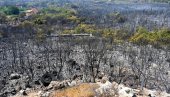 10 MASKIRANIH LICA POKUŠALO DA IZAZOVE POŽAR: Užas na brdu Gorica u Podgorici