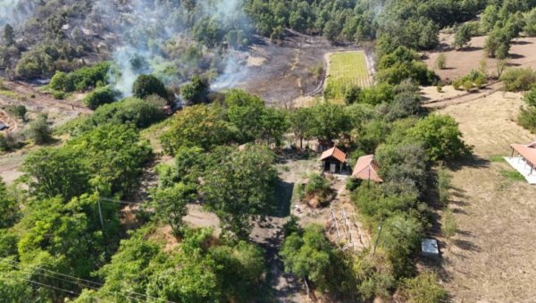 ПОЖАР У БАЊСКОМ ПОЉУ КОД БОРА: Гори шума и ниско растиње ПОЖАР У БАЊСКОМ ПОЉУ КОД БОРА: Гори шума и ниско растиње