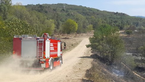 POŽARI U MANOJLOVCU I KAŠTAVARU: Celodnevna borba vatrogasaca u dva leskovačka sela POŽARI U MANOJLOVCU I KAŠTAVARU: Celodnevna borba vatrogasaca u dva leskovačka sela