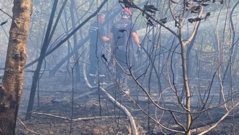VATROGASCI NE STAJU : U Šumadiji aktivno desetak požara VATROGASCI NE STAJU : U Šumadiji aktivno desetak požara