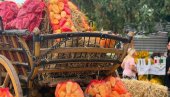 ОД ПАПРИКЕ ПРАВЕ И ТОРТУ!: Манифестација у Руском Крстуру у част краљице овдашњих поља одржана током викенда