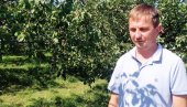 НЕВЕСЕЛИ БИЛАНС ВОЋАРА ЗОРАНА ИЛИЋА ИЗ МИРИЛОВЦА КОД ПАРАЋИНА   У шљивику само успомене
