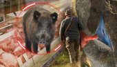 ЛОВЦИ ДИГЛИ УЗБУНУ: Откривене свиње са плавим месом - стручњаци упозоравају грађане: Немојте то јести! (ФОТО)