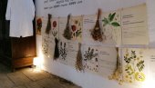 I VINO KORISTILI KAO LEK: Vršački muzej „Apoteka na stepenicama“,  dobio novi eksponat - apotekarsku presu za ceđenje grožđa (FOTO)