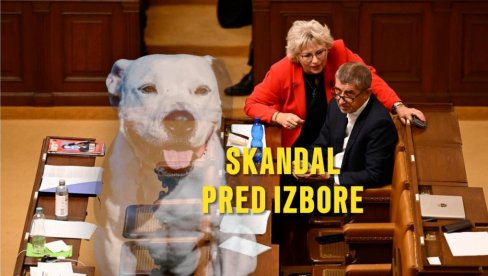 SKANDAL PRED IZBORE: Optužena da je naručila UBISTVO PSA nove devojke bivšeg muža SKANDAL PRED IZBORE: Optužena da je naručila UBISTVO PSA nove devojke bivšeg muža