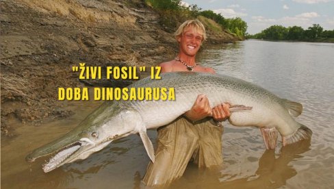 ZASTRAŠUJUĆE: Upecao veoma retku ribu - ogromnu! Živi fosil iz doba dinosaurusa (FOTO) ZASTRAŠUJUĆE: Upecao veoma retku ribu - ogromnu! Živi fosil iz doba dinosaurusa (FOTO)