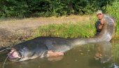 ULOVIO GRDOSIJU: Ribolovac koji je upecao soma od 2,68 M - sada je ponovo NADMAŠIO sebe! (FOTO)
