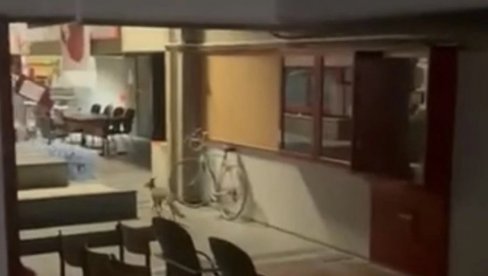 DOŠLO JE VREME ODGOVORNOSTI: Veliki deo profesora koji su podržavali blokade na Filozofskom fakultetu žele da se sve vrati u normalu DOŠLO JE VREME ODGOVORNOSTI: Veliki deo profesora koji su podržavali blokade na Filozofskom fakultetu žele da se sve vrati u normalu