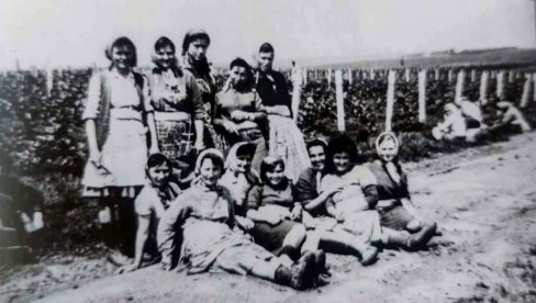 ТРАГОМ НЕМАЧКИХ ВИНОГРАДАРА: Књига „Гудурица коју волимо“, аутора Петра Локаса, оживљава сећања на последњих 80 година живота села ТРАГОМ НЕМАЧКИХ ВИНОГРАДАРА: Књига „Гудурица коју волимо“, аутора Петра Локаса, оживљава сећања на последњих 80 година живота села