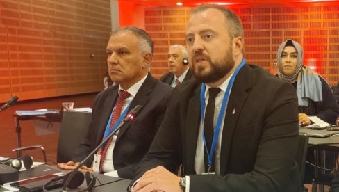 HRVAT PROVOCIRAO, MIRKOVIĆ MU ODGOVORIO: Pričate o evropskim vrednostima, a u toj zemlji pola milona ljudi peva o ubijanju i klanju Srba!