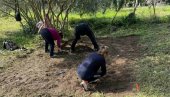 СРПСКИ ЈУНАЦИ ПОЧИВАЈУ НА ДВЕ ПАРЦЕЛЕ: Снимање георадаром парцеле Доре Кефалонити на Крфу оправдава тврдње њених деде и оца