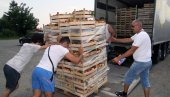 OD MEŠETARA I POLISA ŠTITI: Inicijativa Ministarstva poljoprivrede da se u otkupu poljoprivrednih proizvoda uvede obavezno osiguranje