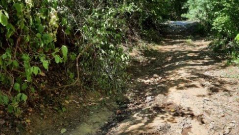 ŽENA POGINULA U PREVRTANJU TRAKTORA: Krenula na rad u polje, pa smrtno stradala