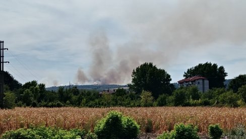 БУКТЕ ПОЖАРИ ШИРОМ КРАЈИНЕ: Гори у Тамничу, између Речке и Чубре и потес Златног брда БУКТЕ ПОЖАРИ ШИРОМ КРАЈИНЕ: Гори у Тамничу, између Речке и Чубре и потес Златног брда