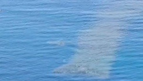 LJUDI U ŠOKU GLEDAJU ŠTA SE DEŠAVA U MORU U CRNOJ GORI: Zna li neko šta je ovo, pogledajte kako se brzo kreće (VIDEO) LJUDI U ŠOKU GLEDAJU ŠTA SE DEŠAVA U MORU U CRNOJ GORI: Zna li neko šta je ovo, pogledajte kako se brzo kreće (VIDEO)