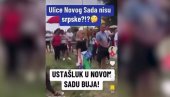 СЛЕДБЕНИЦИ ДИНКА ГРУХОЊИЋА ПОРУЧУЈУ: Нису вам ово српске улице! (ВИДЕО)