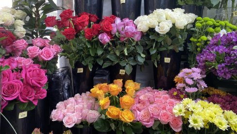 ЗАШТО НЕ ГАЈИМО РУЖЕ? Србија има идеалну климу, а увоз цвећа је висок