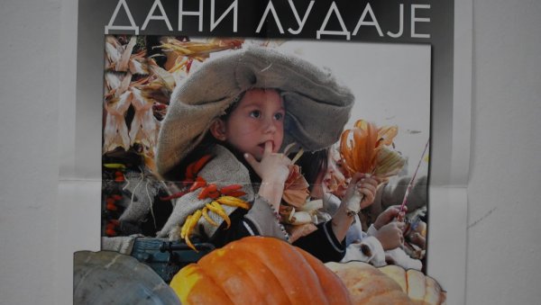 ПРЕ ЧЕТИРИ ДЕЦЕНИЈЕ У КИКИНДИ НАСТАЛИ „ДАНИ ЛУДАЈЕ“: У суботу се мере најтеже и најдуже бундеве ПРЕ ЧЕТИРИ ДЕЦЕНИЈЕ У КИКИНДИ НАСТАЛИ „ДАНИ ЛУДАЈЕ“: У суботу се мере најтеже и најдуже бундеве