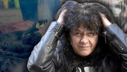SPASILI SMO GALETA: Pevač iz Kerbera ušao u ostavu i zatekao - zmiju! Onda je počela akcija (VIDEO) SPASILI SMO GALETA: Pevač iz Kerbera ušao u ostavu i zatekao - zmiju! Onda je počela akcija (VIDEO)