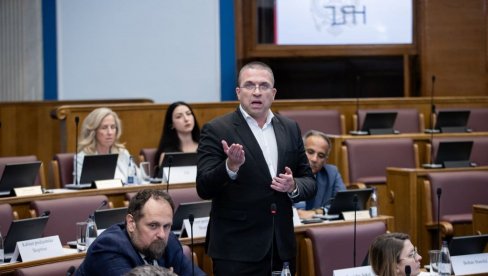 ИЗ СОКОЛА МРЖЊА БИЈЕ: Хрватски европосланик ударио на Београд