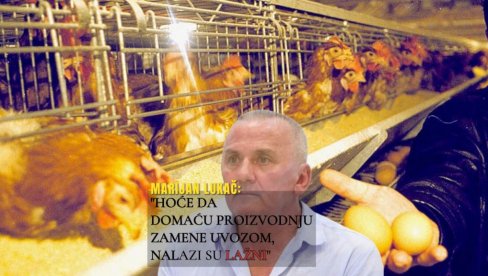 KRALJ JAJA POSLE 30 LETA GASI FARME Država naložila da usmrti 163.000 koka, on besan: Nalazi lažni, hoće da domaću proizvodnju zamene uvozom KRALJ JAJA POSLE 30 LETA GASI FARME Država naložila da usmrti 163.000 koka, on besan: Nalazi lažni, hoće da domaću proizvodnju zamene uvozom