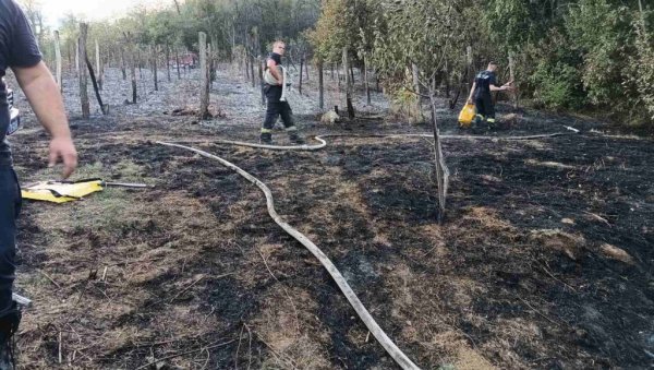 ЖЕНА СТРАДАЛА У ПОЖАРУ: Ватрена стихија на територији Врњачке Бање
