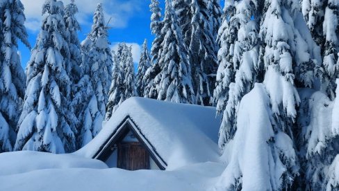 POLARNI VRTLOG U AMERICI: Ugroženo 180 miliona ljudi, temperatura pada daleko ispod 0, otkazano više od 9.000 avionskih letova