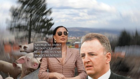 НИЈЕ БИЛО КО: Ево од кога је Цеца купила плац на Авали - сарађивао са Арканом, добио ПОКЛОН од њега