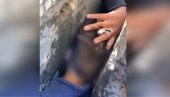 ČETVOROGODIŠNJE DETE SE ZAGLAVILO: Pokušalo da se provuče između zgrada, morali da reaguju specijalci (VIDEO)