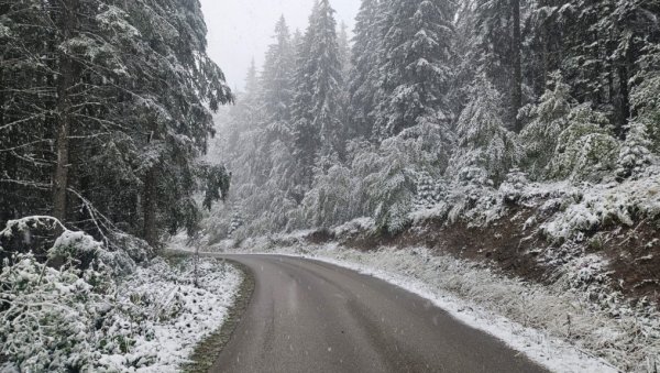 СТИЖЕ СНЕГ, КОШАВА И ДЕБЕЛИ МИНУС: Метеоролог Ристић открио датум кад ће се забелети у Србији