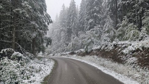 СТИЖЕ СНЕГ, КОШАВА И ДЕБЕЛИ МИНУС: Метеоролог Ристић открио датум кад ће се забелети у Србији