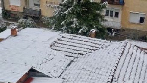 СТИГАО СНЕГ: Данас је забелео исток Србије, а сутра се очекује и у Београду - Ево какво нас време очекује наредних дана (ФОТО)