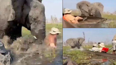 PREVIŠE PRIŠLI MLADUNCIMA: Besna slonica prevrnula kanu, ljudi završili u reci punoj krokodila - jednu turistkinju glavom davila u mutnoj vodi PREVIŠE PRIŠLI MLADUNCIMA: Besna slonica prevrnula kanu, ljudi završili u reci punoj krokodila - jednu turistkinju glavom davila u mutnoj vodi