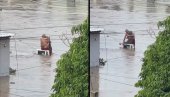 У СМРТ ИЛИ ЖИВОТ - САМО ДА СМО ЗАЈЕДНО: Бака и дека ноћ провели на крову куће - он отпливао с њом на леђима (ВИДЕО)