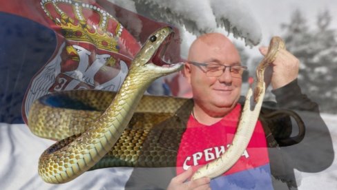 ХЛАДНО, А ЗМИЈЕ СВУД ПО СРБИЈИ: Виђене и на снегу! Стари кажу - ЛОШ ЗНАК, а ево како то објашњавају стручњаци ХЛАДНО, А ЗМИЈЕ СВУД ПО СРБИЈИ: Виђене и на снегу! Стари кажу - ЛОШ ЗНАК, а ево како то објашњавају стручњаци
