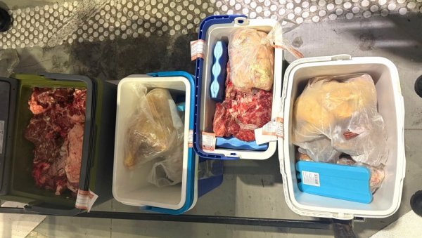 ЗАПЛЕЊЕНО МЕСО ИСКОРИСТИЋЕ СЕ ЗА ИСХРАНУ ЖИВОТИЊА У ЗОО ПАЛИЋ: На Хоргошу спречен покушај кријумчарења 140 килограма меса