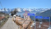 RETKI KAO SRBI NA KiM I NE NAPUŠTAJU SVOJU ŠAR-PLANINU: Bio je lak plen za zveri, nije mogao da leti, ali to nije bio kraj