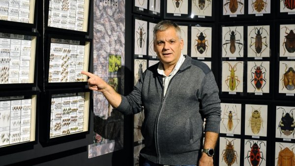НЕВИДЉИВА, А МОЋНА АРМИЈА: Ако волите природу, ову изложбу морате обавезно да погледате (ФОТО)