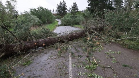 ВЕТАР ОБАРАО КАМИОНЕ И ЧУПАО СТАБЛА: Разорна олуја захватила овај део света ВЕТАР ОБАРАО КАМИОНЕ И ЧУПАО СТАБЛА: Разорна олуја захватила овај део света