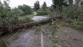 VETAR OBARAO KAMIONE I ČUPAO STABLA: Razorna oluja zahvatila ovaj deo sveta