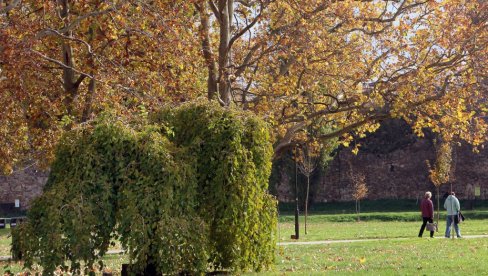 U GLAVNOM GRADU MAGLA, A EVO GDE SE OČEKUJE SUNCE: Vremenska prognoza za 11. decembar