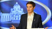 BRNABIĆ OBJASNILA: Zašto je Vladan Đokić idealan predstavnik blokadera (VIDEO)