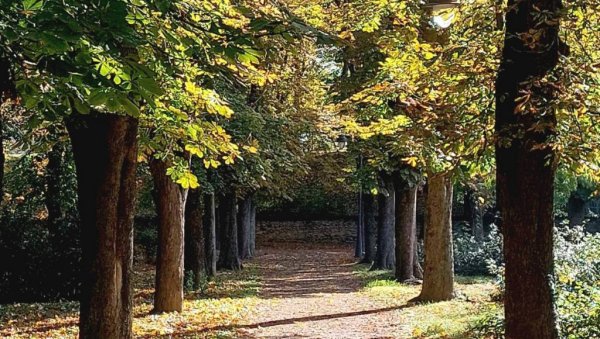 ЈЕСЕН КРОЗ ОБЈЕКТИВ МЛАДИХ: Дом омладине Вршац расписао фото-конкурс